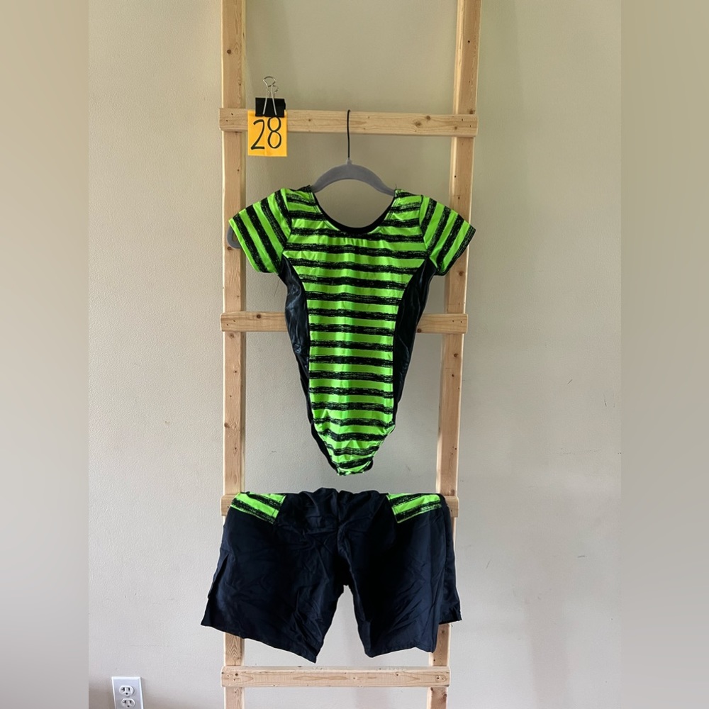 Dance Costumes - Picture 5 of 16